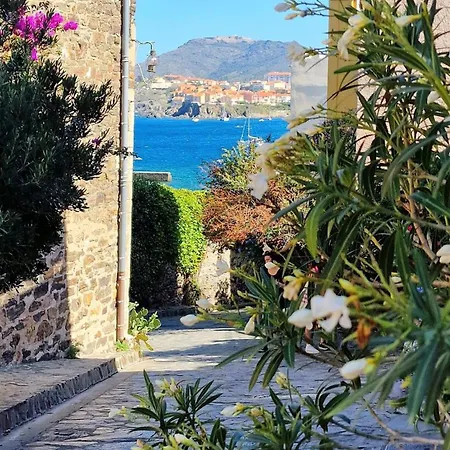 4mir11jaune- T2 En Duplex Idealement Situe Pour 4 Personnes