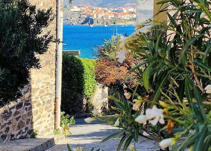 4mir11jaune- T2 En Duplex Idealement Situe Pour 4 Personnes