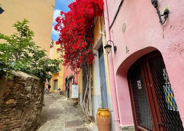 4mir11jaune- T2 En Duplex Idealement Situe Pour 4 Personnes * Collioure